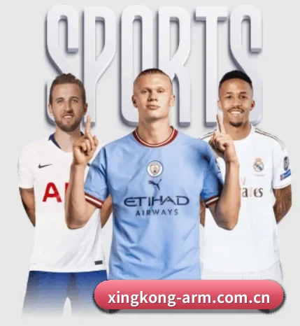 五大服务分区,信息按项目分类(xingkongtiyuapp)